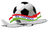 Parvoz