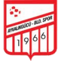 Ayvalikgucu
