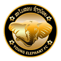 Young Elephant