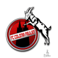 Feulen