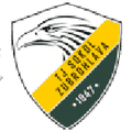Sokol Zubrohlava