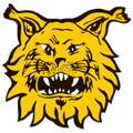 Ilves IV