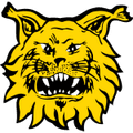 Ilves-Kissat juniorit