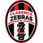 Clarence Zebras II