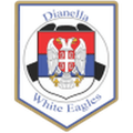 Dianella White Eagle