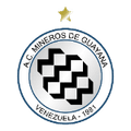 Mineros de Guyana