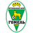 FC Gomel