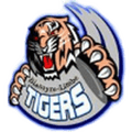 Mighty Tigers