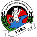 Vanspor FK