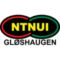 NTNUI